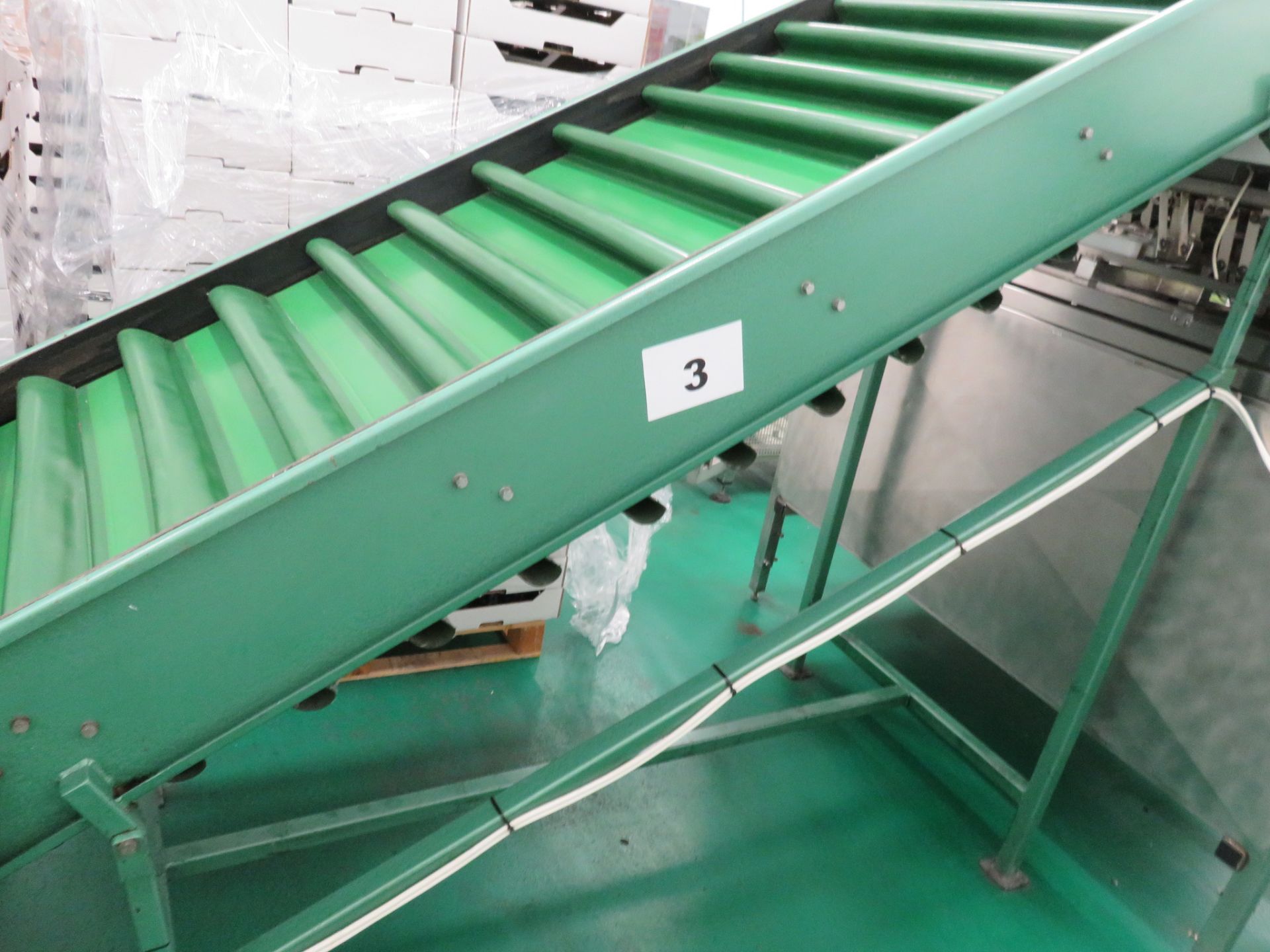 FLIGHTED BELT CONVEYOR - Bild 3 aus 3