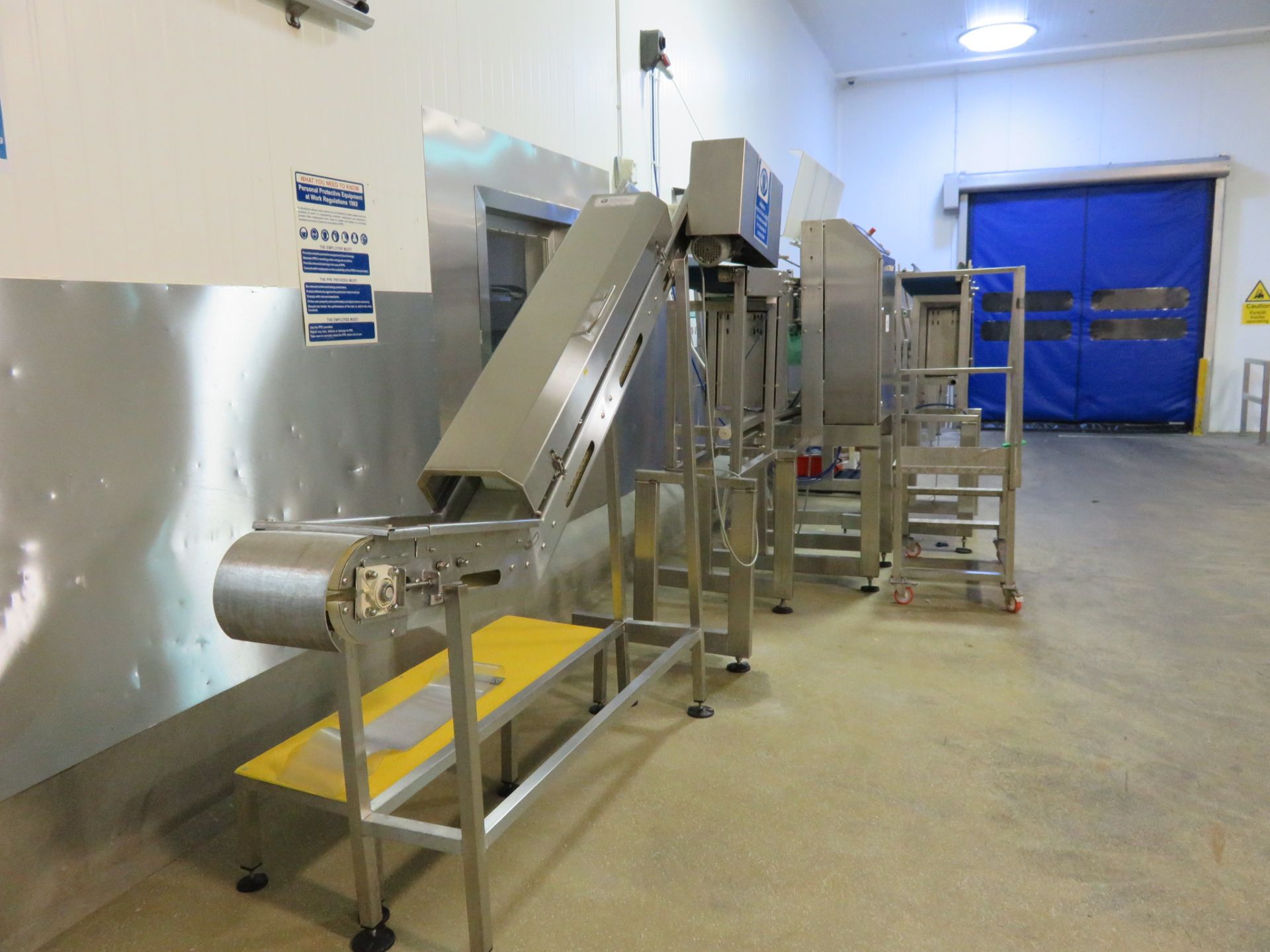 MAREL/SCANVAEGT 10 STATION INLINE WHOLE FISH GRADER. - Image 4 of 7