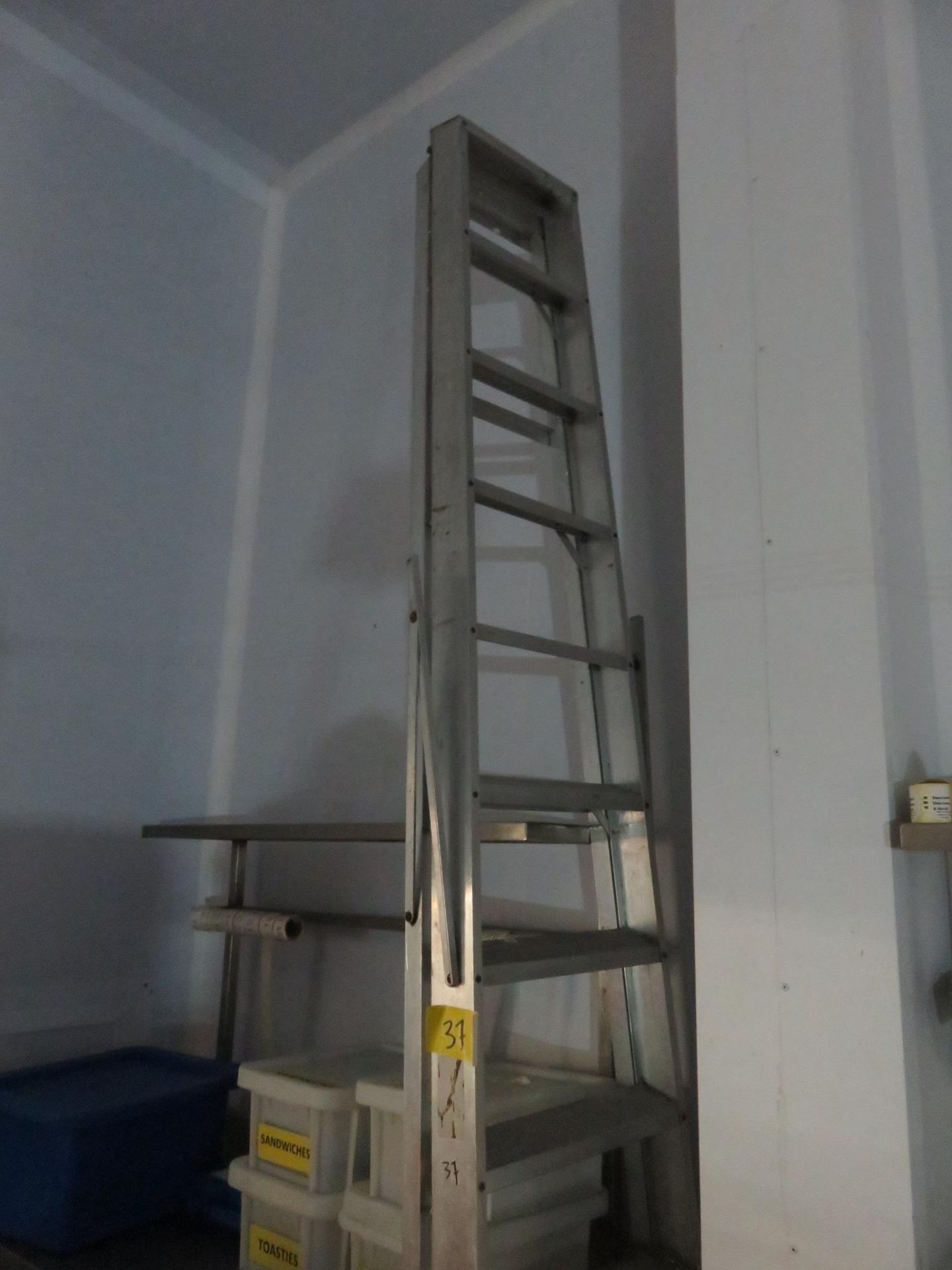 12-STEP STEP LADDER. - Image 2 of 2