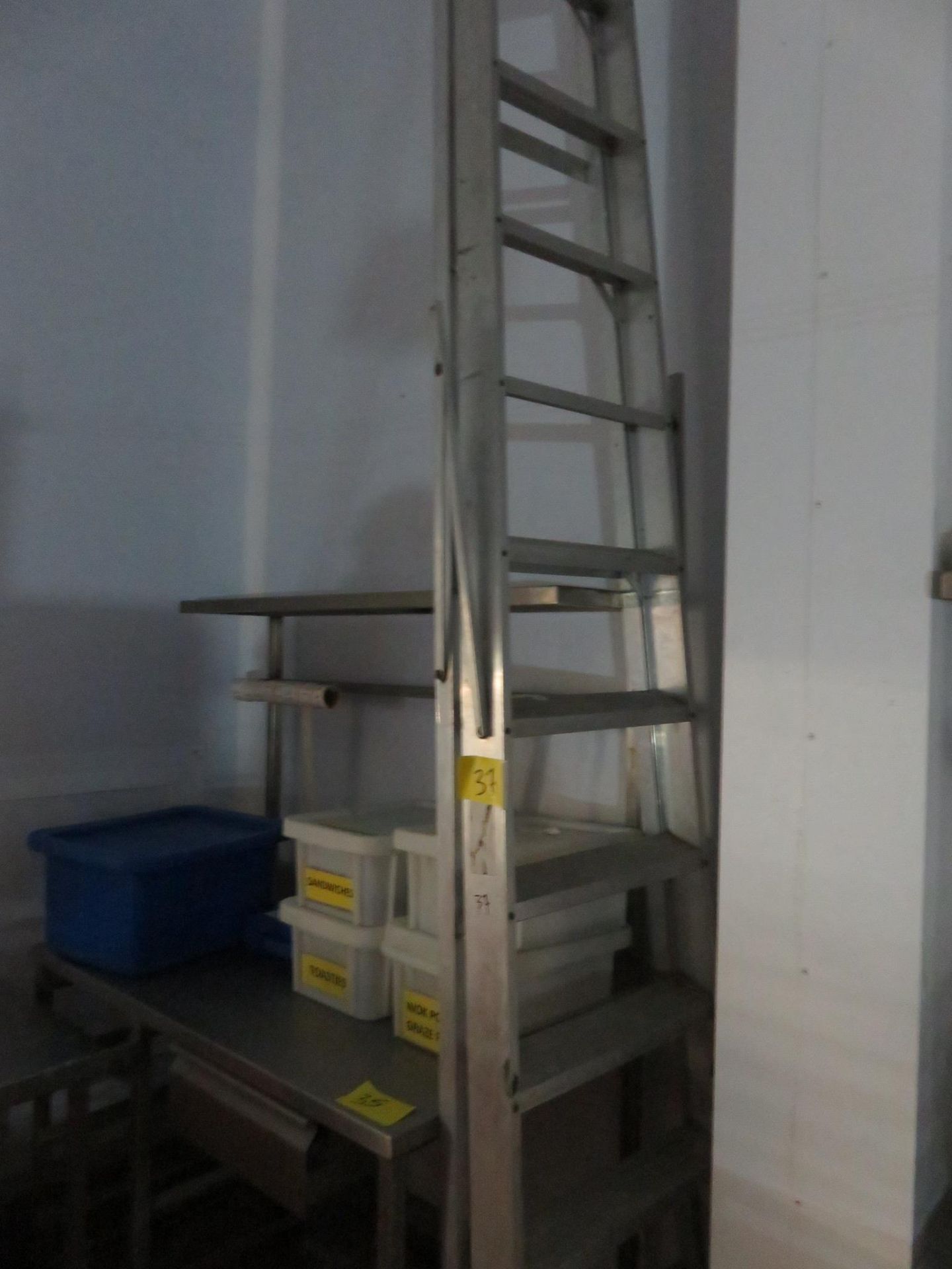 12-STEP STEP LADDER.