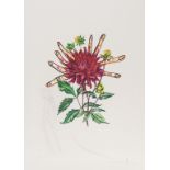 Salvador Dali (1904-1989) Dahlia Rapax (from Surrealistic Flowers) (Field 72-7-H; M&L538)