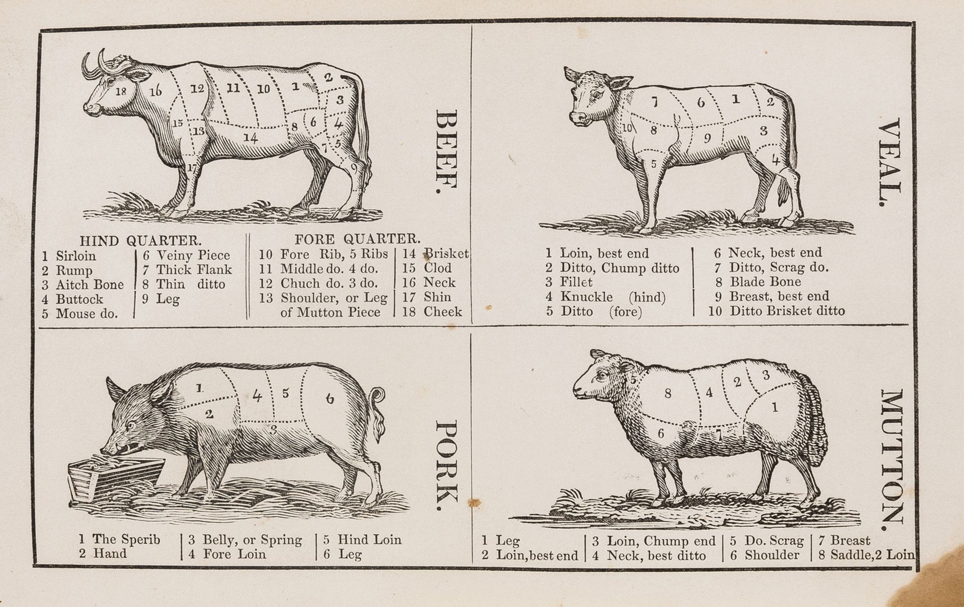 New Female Instructor (The); or, Young Woman's Guide to Domestic Happiness, Thomas Kelly, [1834]; …