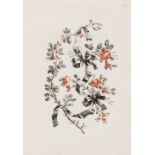 Ornament.- Pillement (Jean) Cahier de Six Noeuds de Rubans..., 6 stipple-engraved plates by L. & …