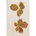 Experimental printing.- Lucas (Richard Cockle, British sculptor and photographer, 1800-1883) A …