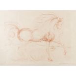 Salvador Dali (1904-1989) L'Etalon Blanc (Hommage au cheval) (Field 74-9; M & L 639b)