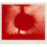 Anish Kapoor (b.1954) Untitled