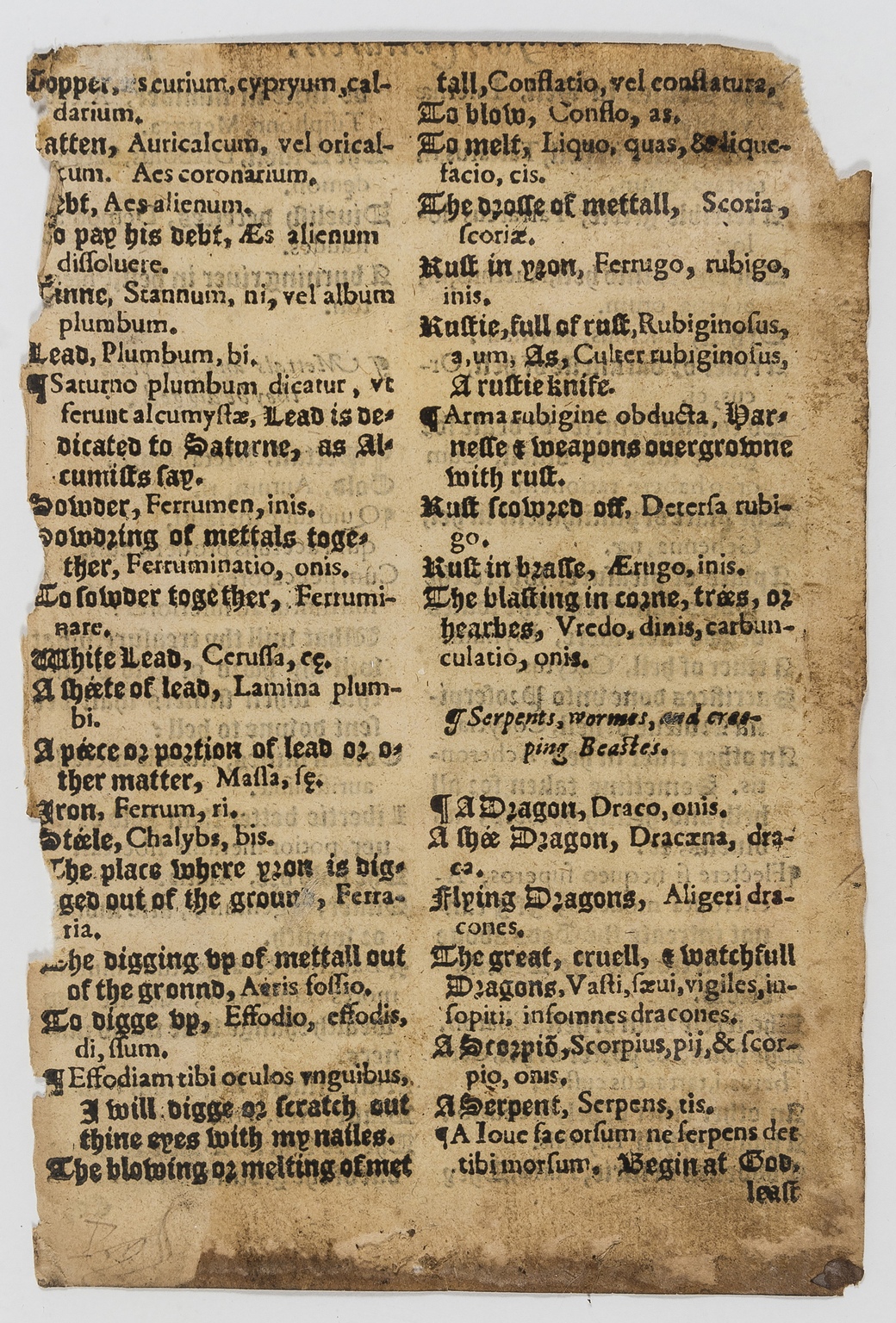 Children's dictionary.- [Withals (John)] [A dictionarie in English and Latine for children, and …