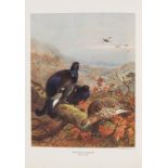 Birds.- Millais (John Guille) The Natural History of British Game Birds, 1909; and 2 others on …