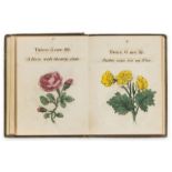 Botany.- Atkinson (Sarah) The Botanical Multiplication Table, hand-coloured engraved …