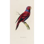 Birds.- Swainson (William) Zoological Illustrations,, 6 vol. (i.e.1st and 2nd series), 1820.