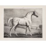 Horses.- [Broadhurst (J.)] A Comparative View of the Form and Character of the English Racer and …