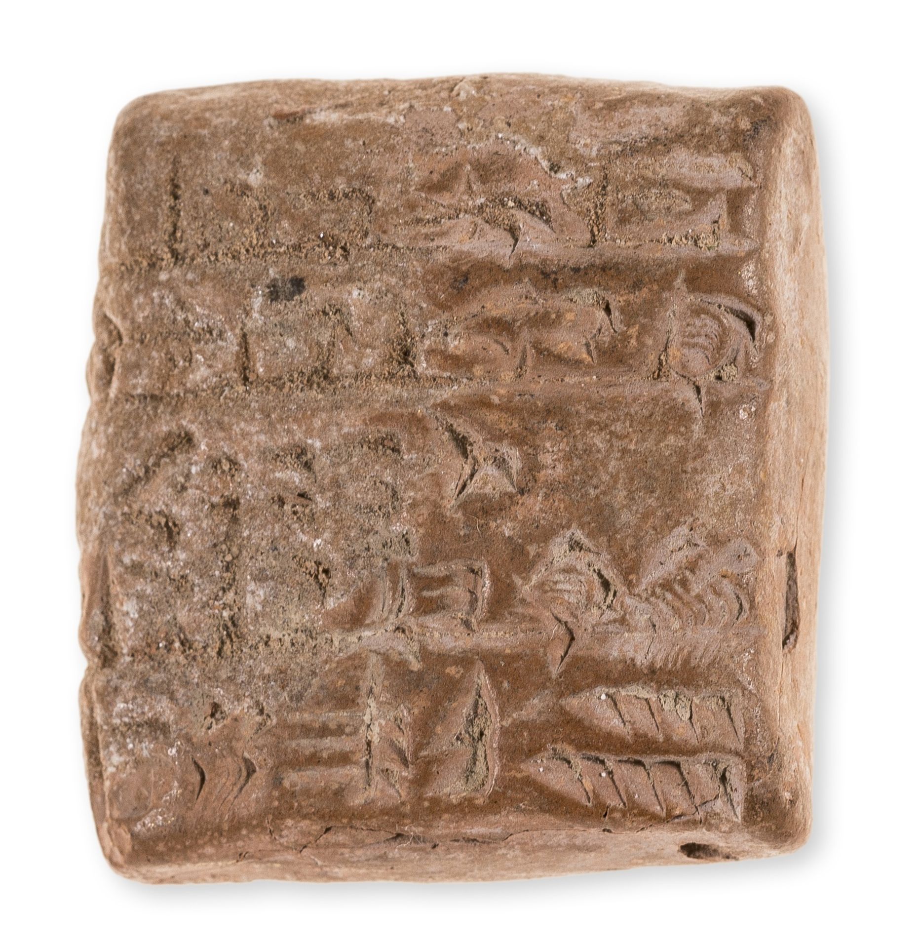 Sumerian Cuneiform Clay Tablet.- Revenue tablet, list of sheep, beams of timber, garden material …