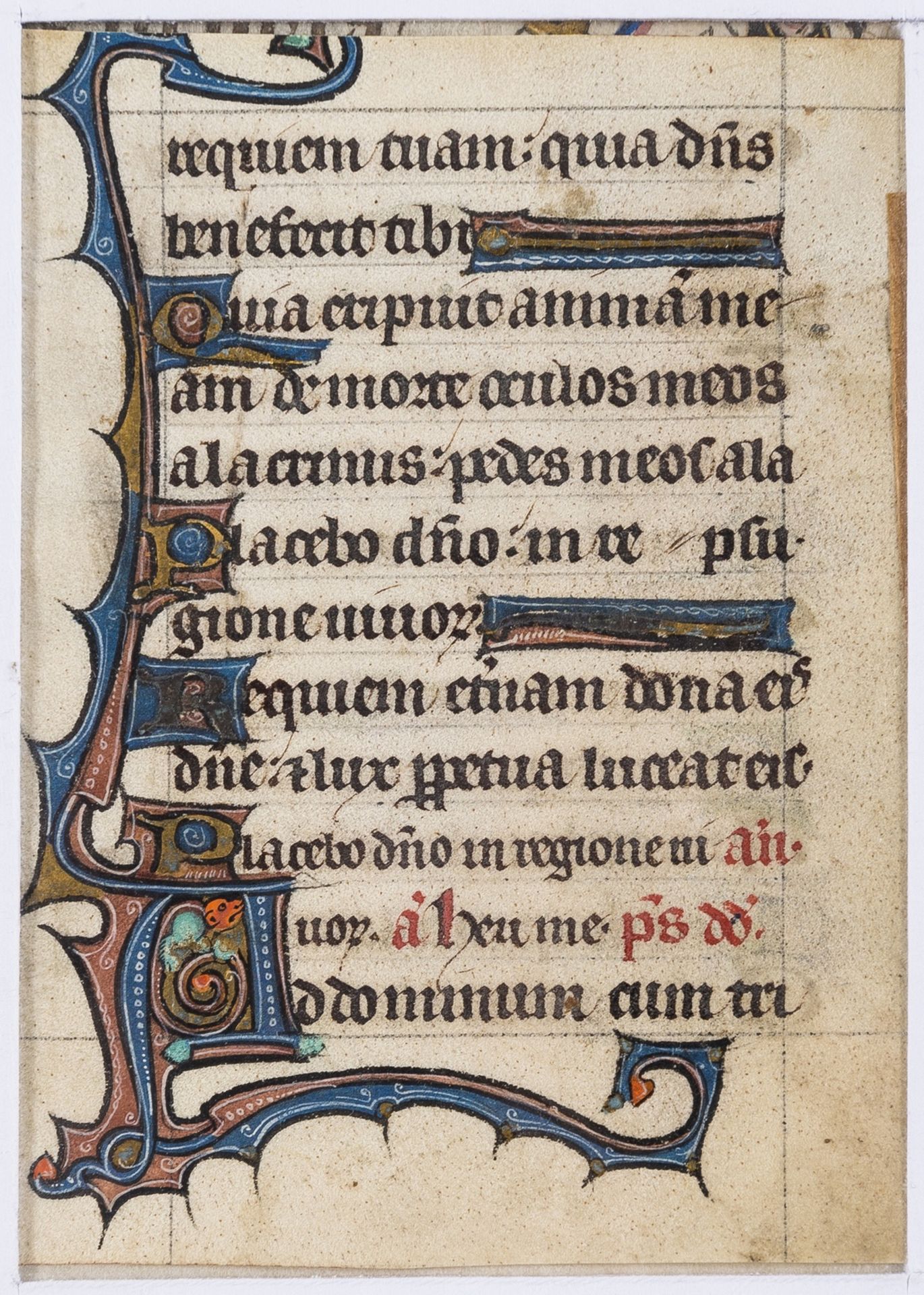 Book of Hours. Single leaf, illuminated manuscript in Latin, on vellum, in a large gothic … - Image 2 of 2