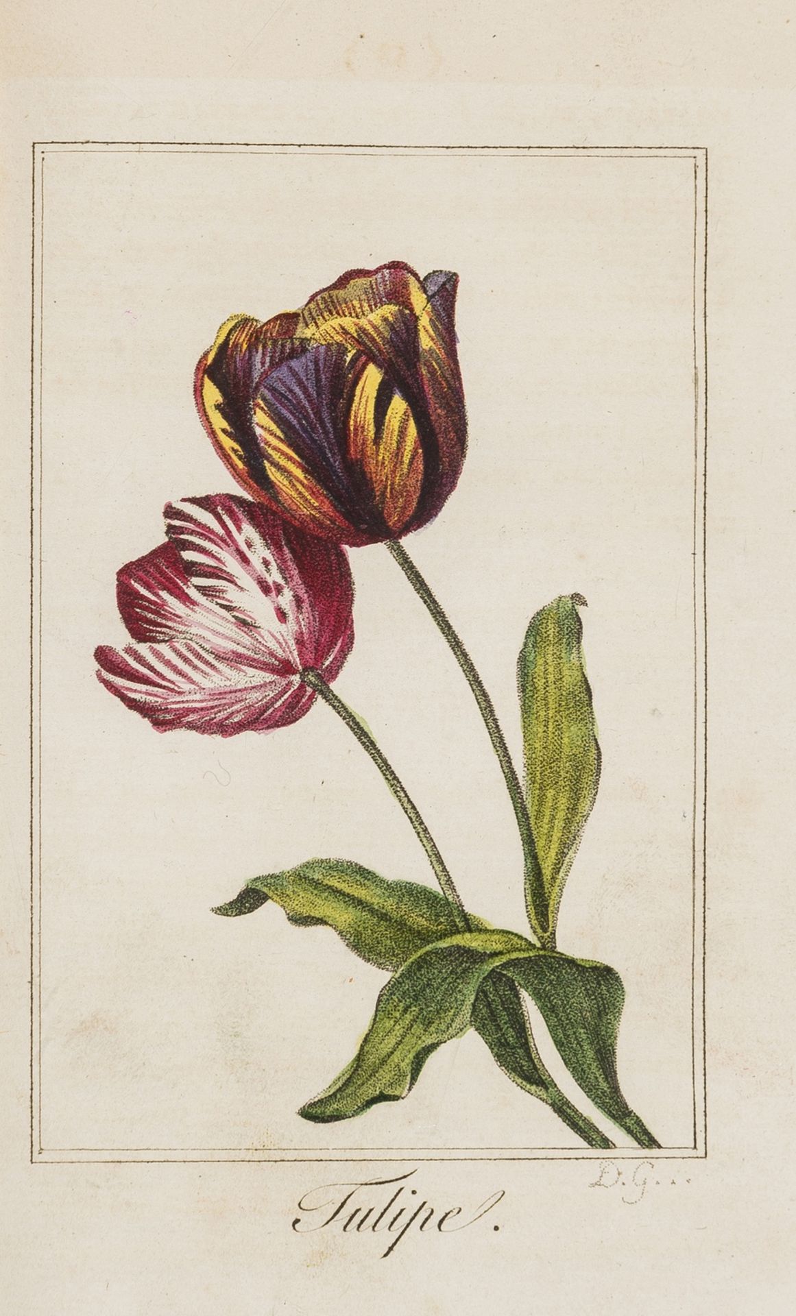 Botany.- Atkinson (Sarah) The Botanical Multiplication Table, hand-coloured engraved … - Image 2 of 2