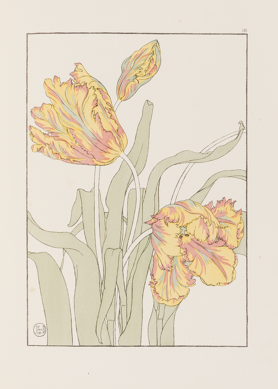 Foord (J.) Decorative Flower Studies, 1901. - Image 2 of 3