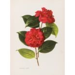 Botany.- Urquhart (Beryl Leslie) The Camellia, Sharpthorne, 1956 & others (3)