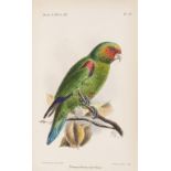 Birds.- Salvadori (T.) Catalogue, of the Psittaci, or Parrots, in the collection of the British …