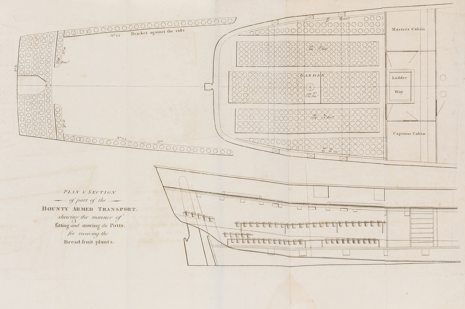 Voyages.- Bligh (William) A Voyage to the South Sea...in His Majesty's Ship the Bounty..., first …