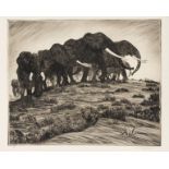 Africa.- Dugmore (A. Radclyffe) Etchings of East African Animals, 32 proof and limited edition …