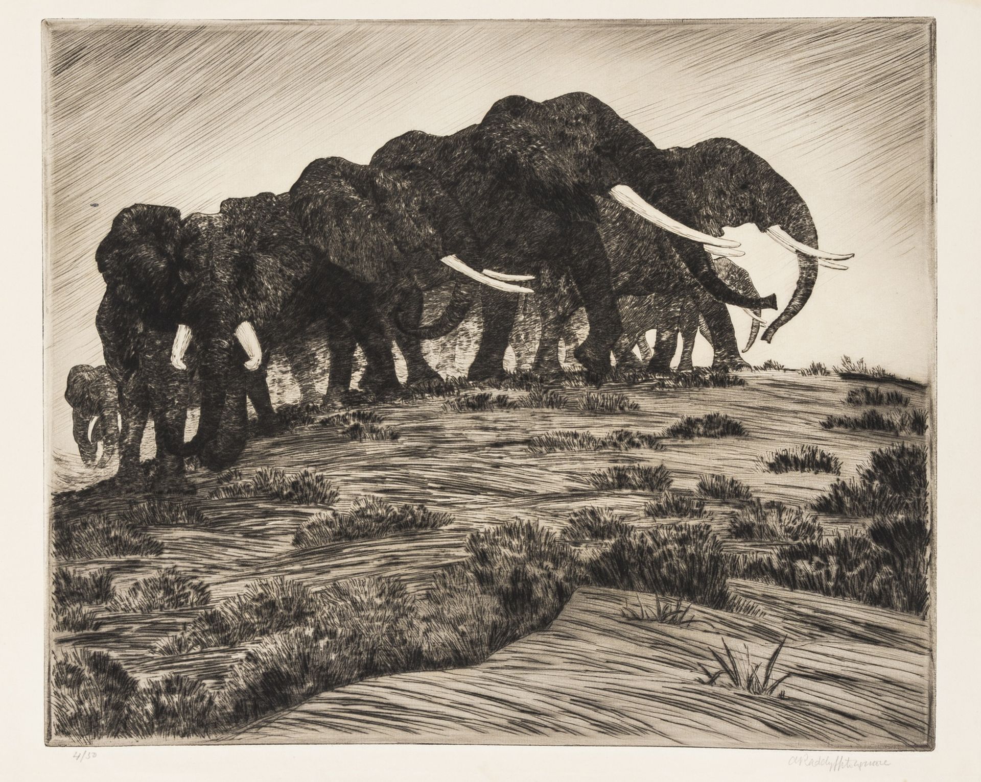 Africa.- Dugmore (A. Radclyffe) Etchings of East African Animals, 32 proof and limited edition …