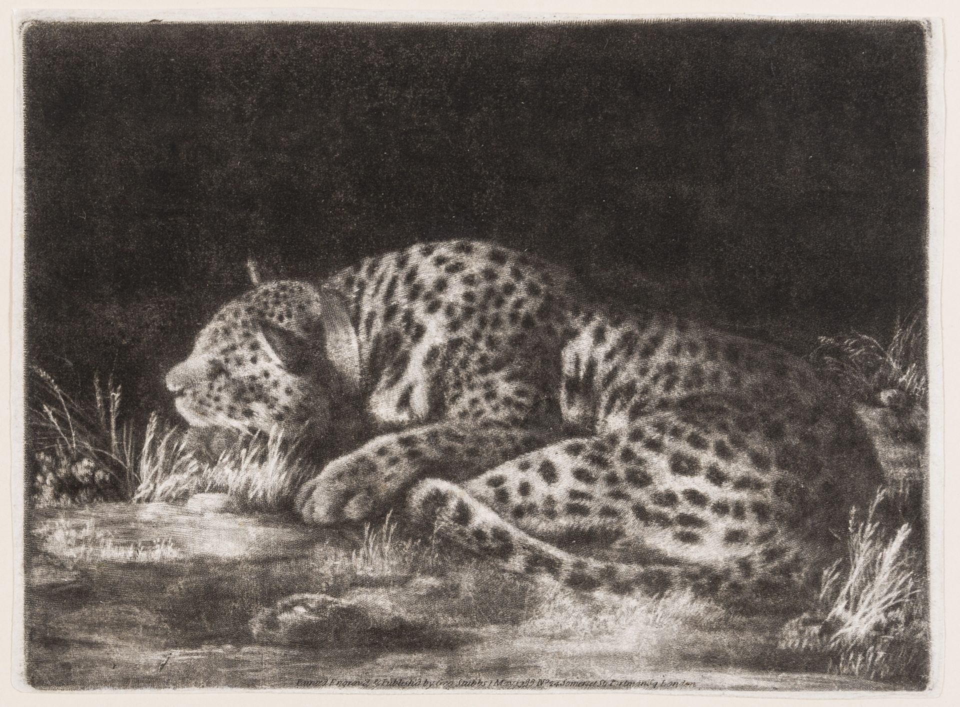 George Stubbs (1724-1806) A sleeping cheetah (A Tyger)