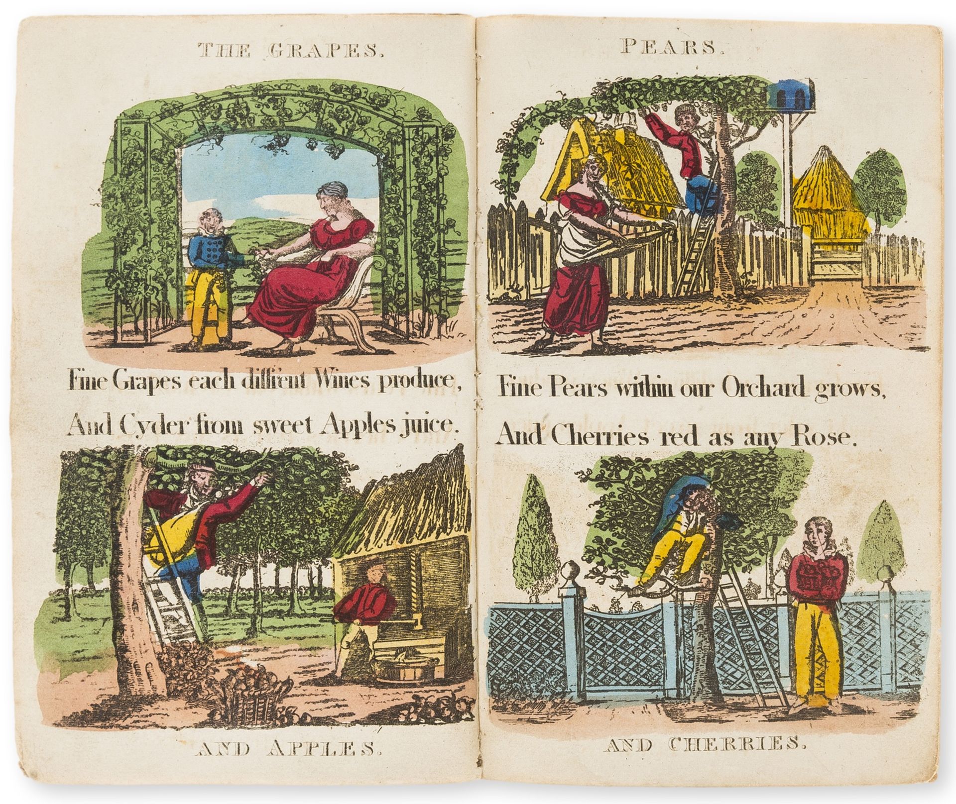 Wine and cider.- Belch (William) W. Belch's Book of Fruit & Flowers, [c.1820].