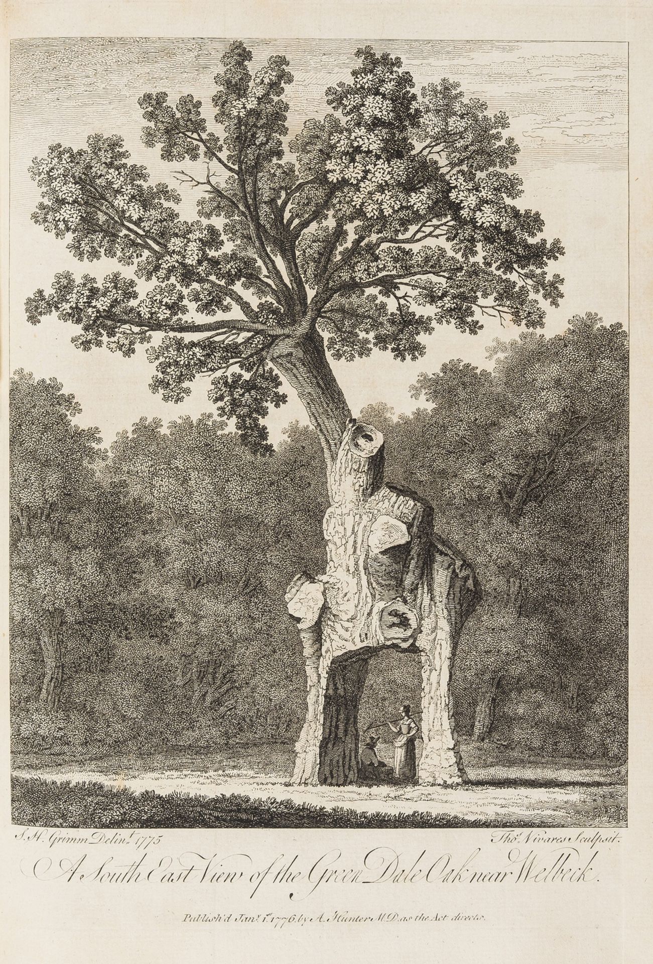 Trees.- Evelyn (John) Silva: or, a Discourse of Forest-Trees, subscriber's copy, York, 1776.