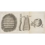 Bees.- Wildman (Thomas) A treatise on the management of bees; wherein is contained the natural …