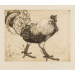 Detmold (Edward Julius) Cockerel, nine impressions, etchings, [early 20th century] (9)