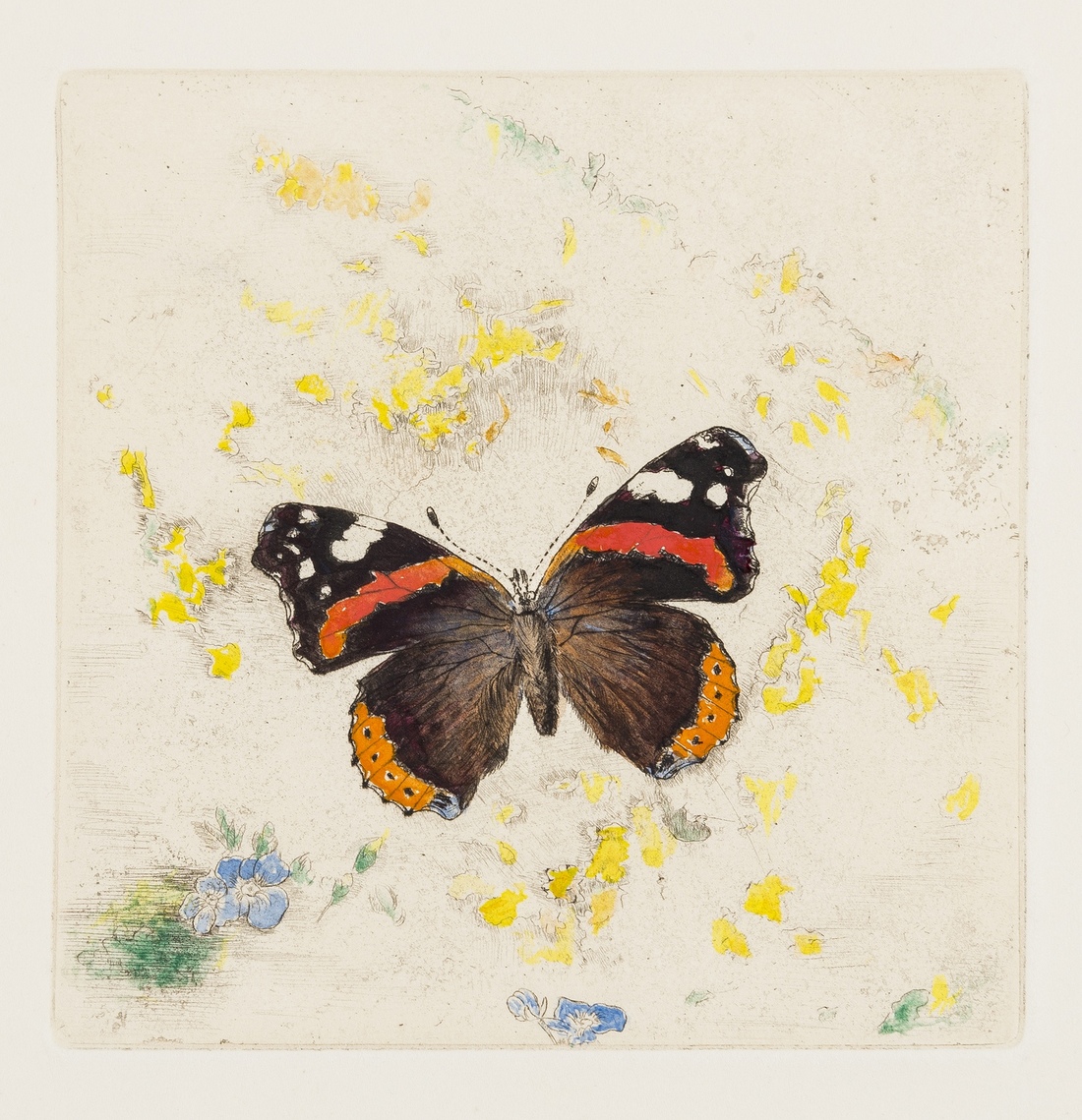 Detmold (Edward Julius) Red Admiral, nine variant impressions, etchings, [early 20th century] (9).