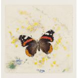 Detmold (Edward Julius) Red Admiral, nine variant impressions, etchings, [early 20th century] (9).