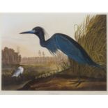 Birds.- Audubon (John James), after. Blue Crane or Heron, [late 20th century]