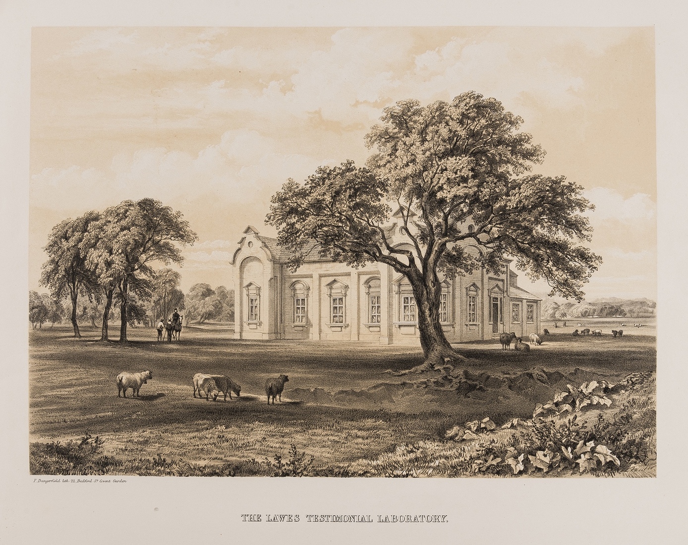 Agriculture.- Drawings and Plans of the Lawes Testimonial Laboratory, Rothamsted, Herts., F. …