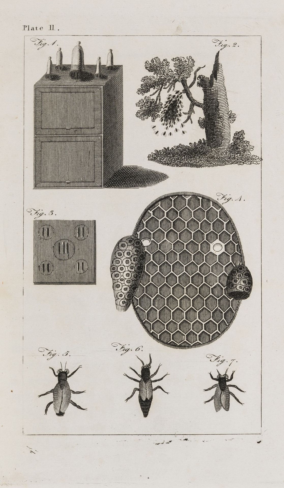 Bees.- Keys (John) The Antient Bee-master's farewell; or, full and plain directions for the …