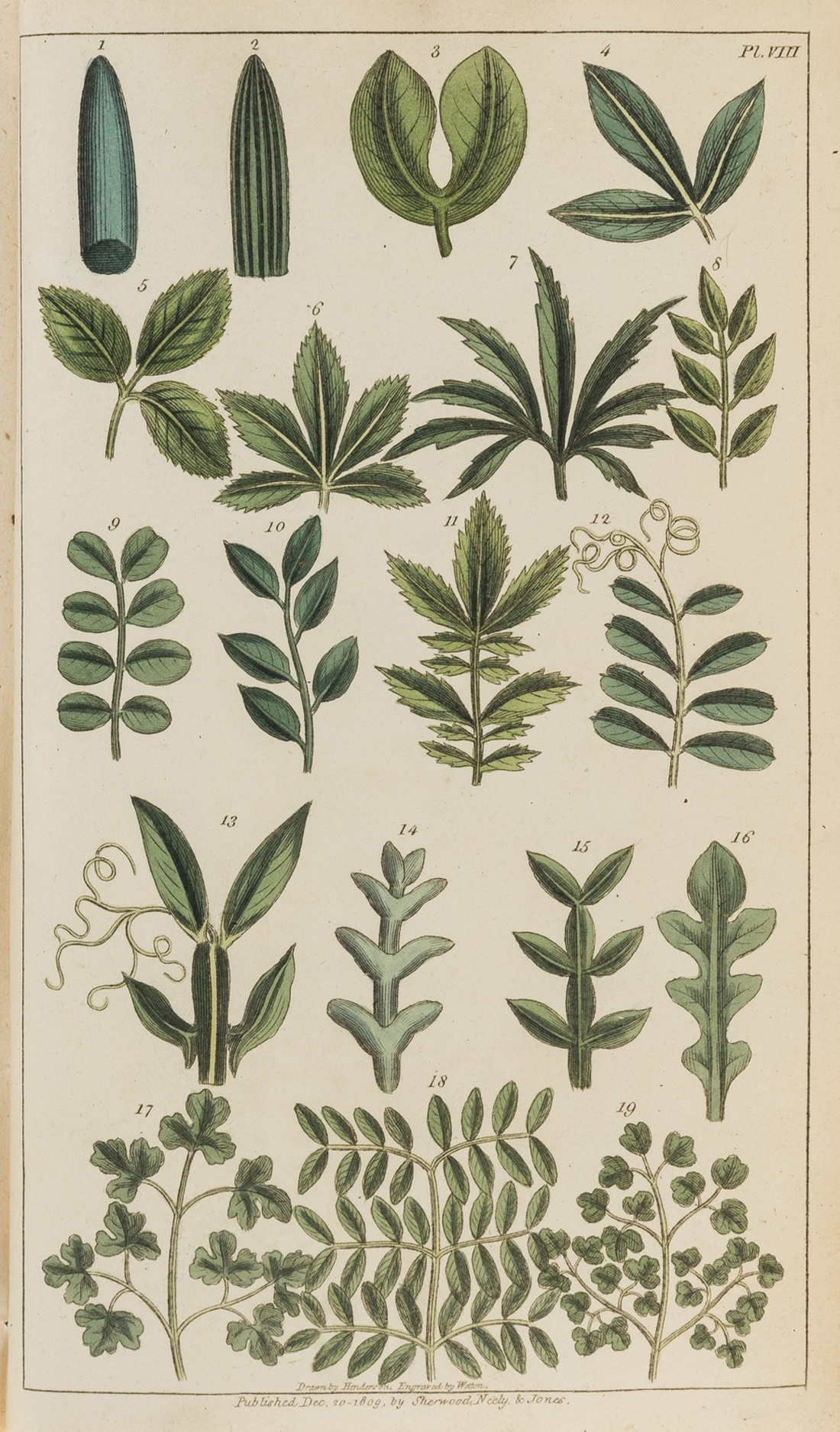 Lee (James) An Introduction to the Science of Botany..., with hand-coloured engraved plates, 1810; …