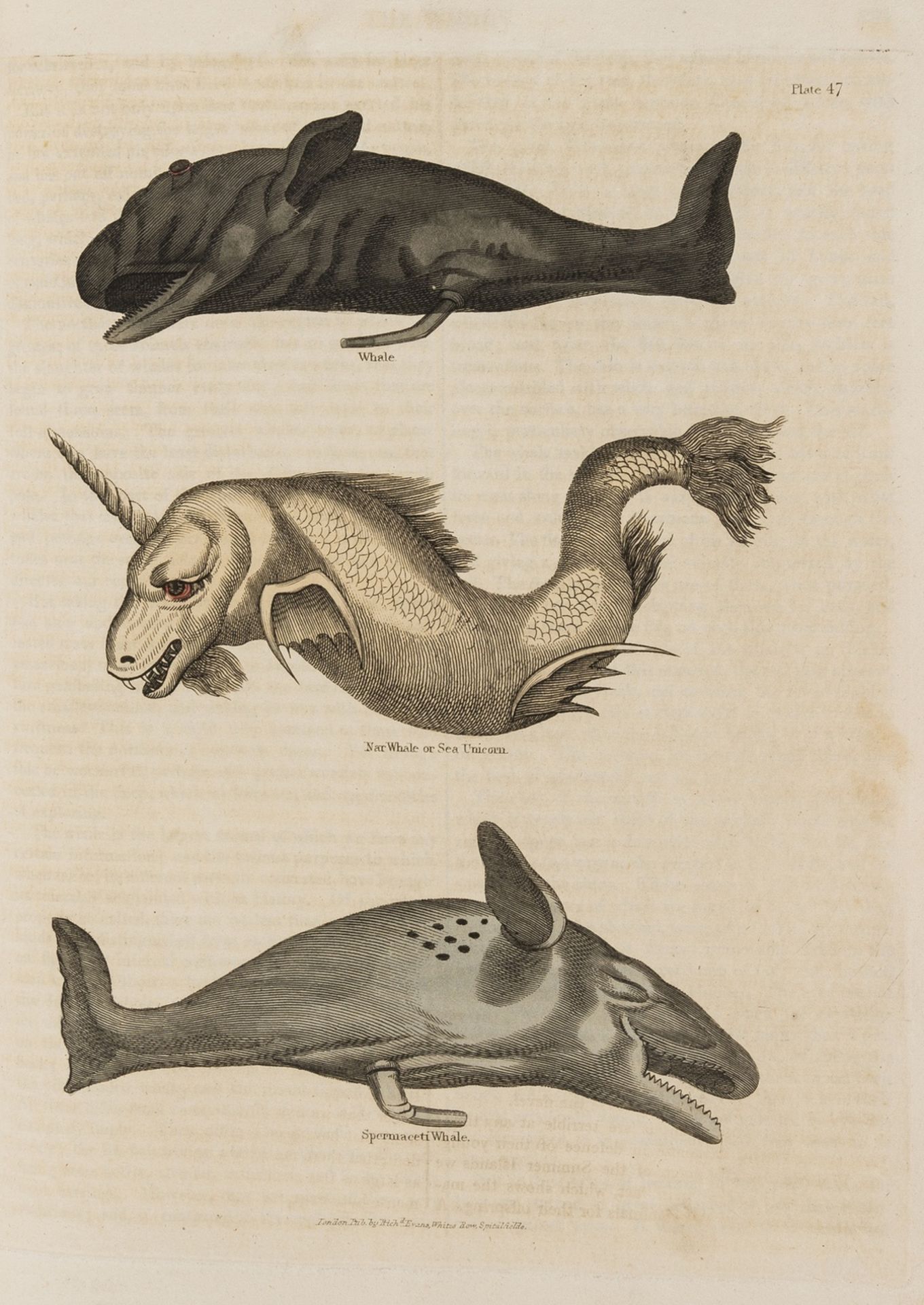 Buffon (G.L.M.L., Comte de) A Natural History..., 2 vol. in one, for Thomas Kelley, 1828; and …