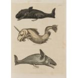 Buffon (G.L.M.L., Comte de) A Natural History..., 2 vol. in one, for Thomas Kelley, 1828; and …