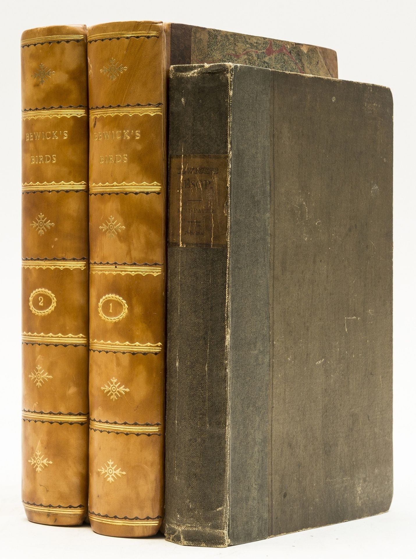 Bewick (Thomas) History of British Birds, 2 vol., vol.2 a first edition, Newcastle, by Edward …