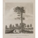 Trees.- Rooke (Hayman) Descriptions and sketches of some remarkable oaks, in the park at Welbeck, …