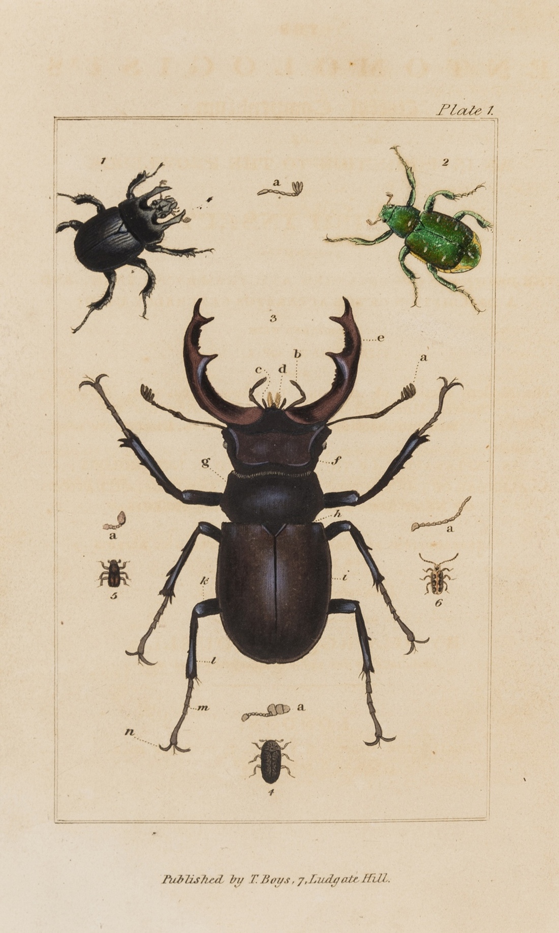 Samouelle (George) The Entomologist's Useful Compendium..., first edition, for Thomas Boys, 1819; …