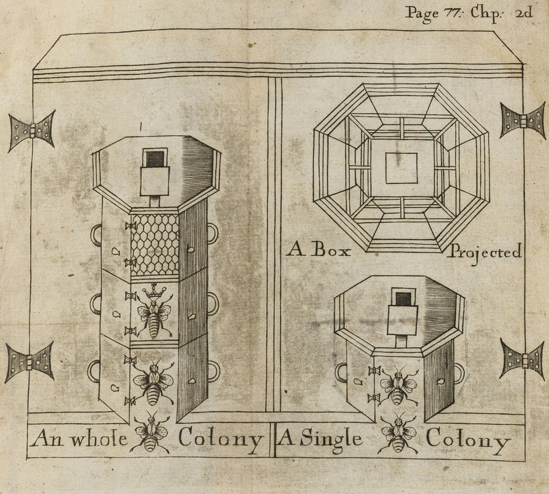 Bees.- John Thorley's copy.- Rusden (Moses) A further discovery of bees, first edition, printed …