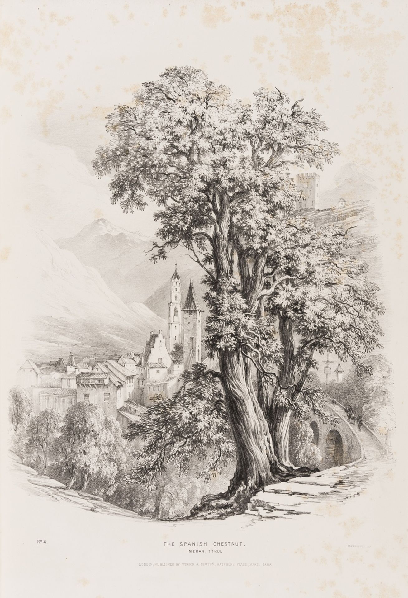 Trees.- Barnard (George) Barnard's Trees, first edition, 1868.