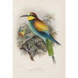 Birds.- Lilford (Thomas Littleton Powys, Baron) Coloured Figures of the Birds of the British …