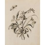 Botany.- Atkinson (Maria, of Gosforth House, Newcastle) Botanical drawing book, 28 drawings of …