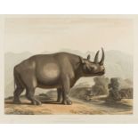 South Africa.- Daniell (Samuel) Ten plates from 'African Scenery & Animals', etchings and …