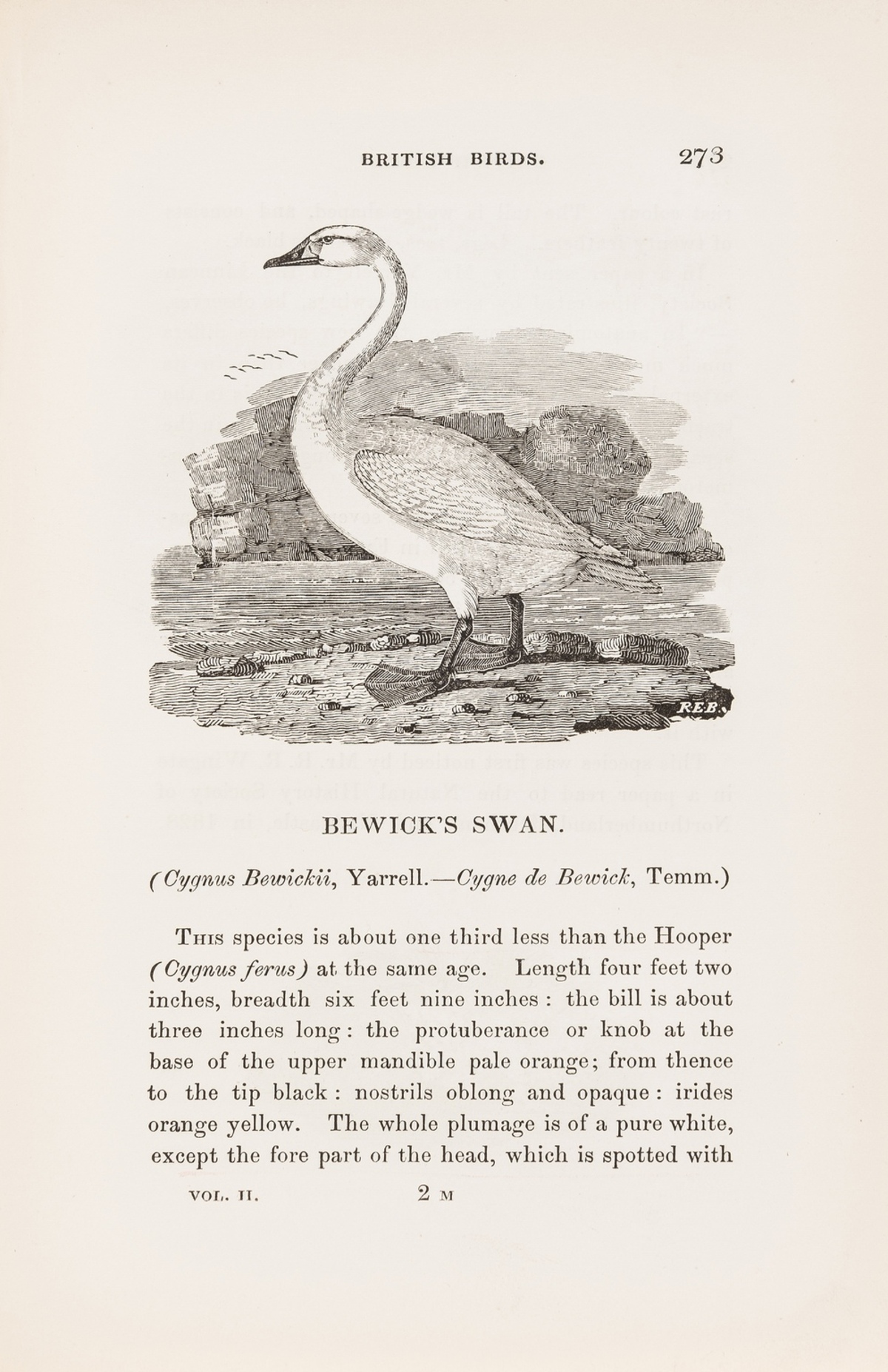 Birds.- Bewick (Thomas) A History of British Birds, 2 vol., Newcastle, 1847.