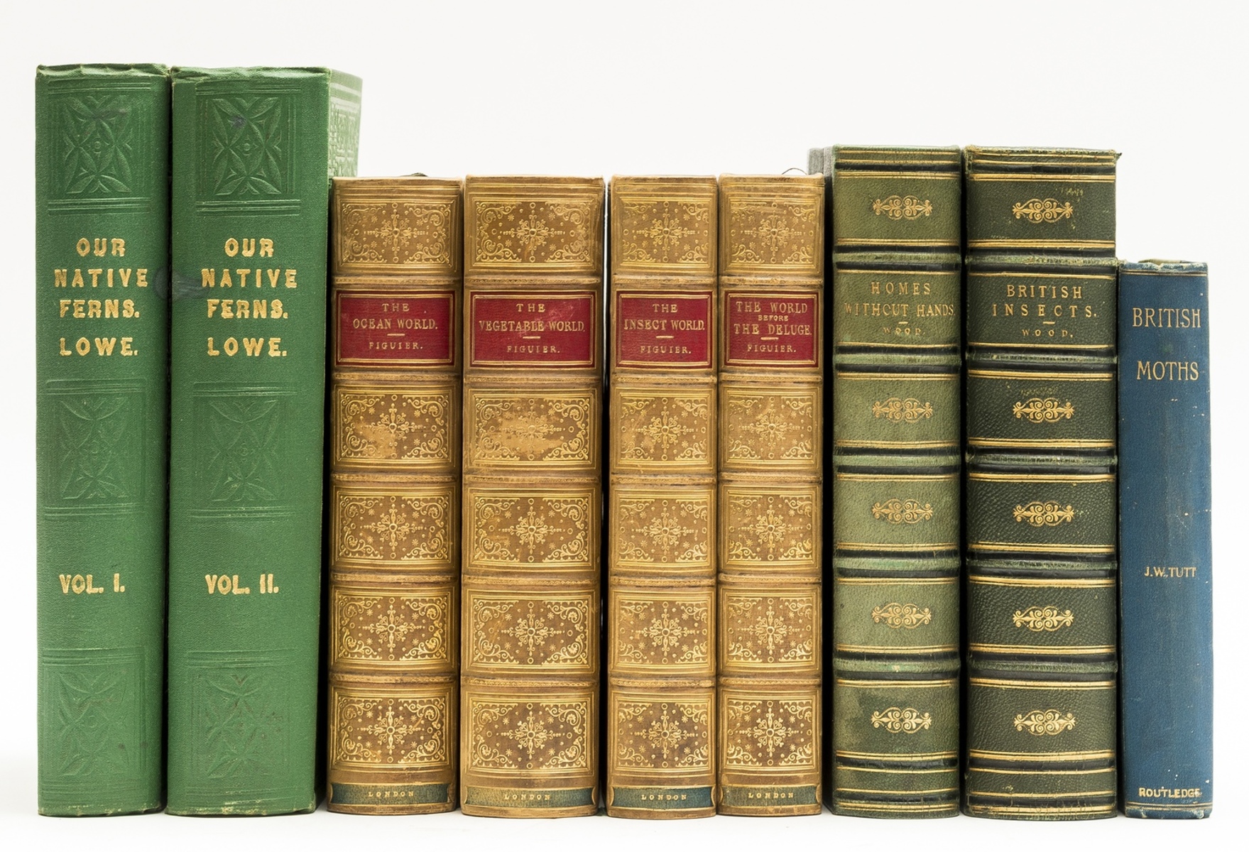 Lowe (Edward Joseph) Our Native Ferns, 2 vol., original cloth, 1867 & others (9)