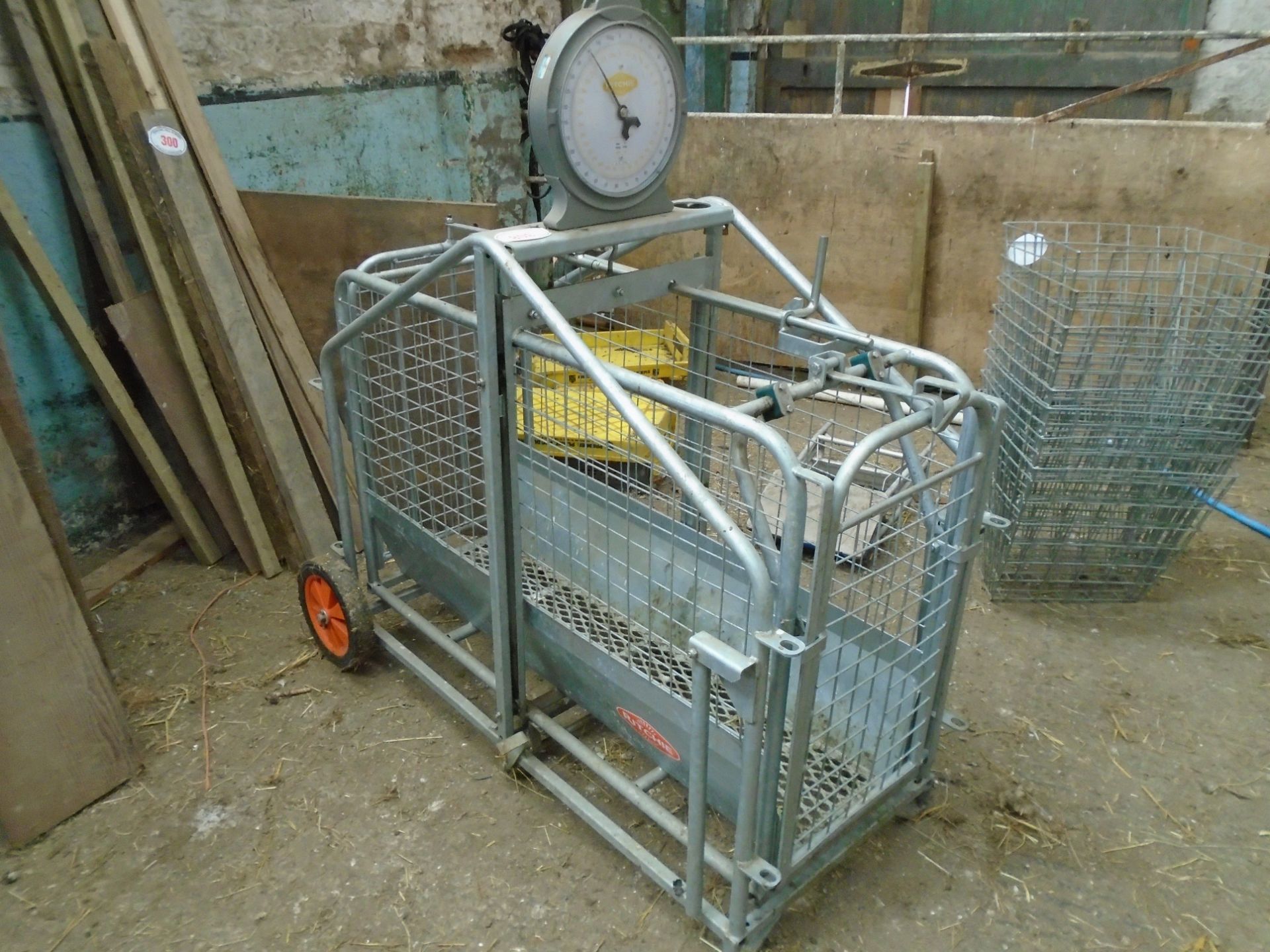 Ritchie analogue lamb crate weigh