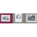 Sir Edwin Landseer,a group of three engraved prints of dogs to include The Pet of The Duchess,