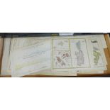 Italy - A quantity of unframed maps and charts to include Italian States, together with Corsica,